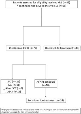 Carfilzomib, lenalidomide, and dexamethasone in relapsed refractory multiple myeloma: a prospective real-life experience of the Regional Tuscan Myeloma Network